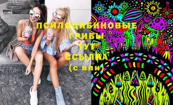 спиды Белокуриха