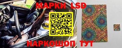 стафф Бердск