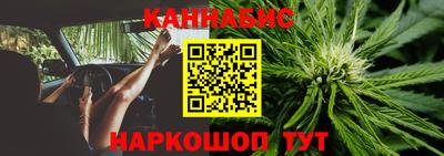 стафф Бердск