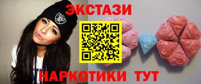 стафф Бердск