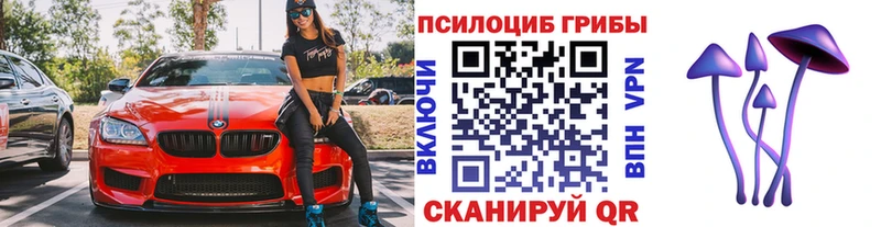 Псилоцибиновые грибы GOLDEN TEACHER  наркошоп  Вязьма 