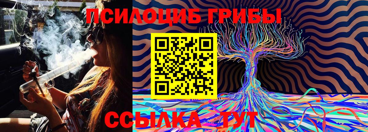 Вязьма  купить  сайты  Вход с VPN  Псилоцибиновые грибы MAGIC MUSHROOMS  Галлюциногенные грибы мицелий 
