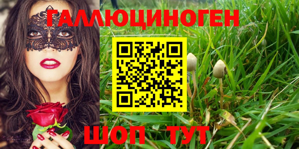 Галлюциногенные грибы мухоморы Вязьма