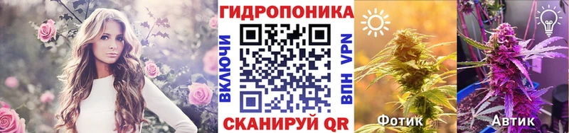 ссылка на мегу зеркало  купить наркотик  Вязьма  Конопля SATIVA & INDICA 